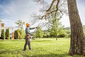How Our Tree Care Process Works  in  Ramapo College Of New Jersey, NJ